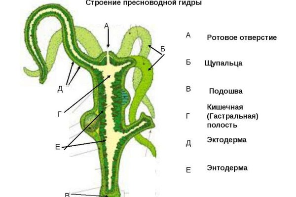 Кракен торговая