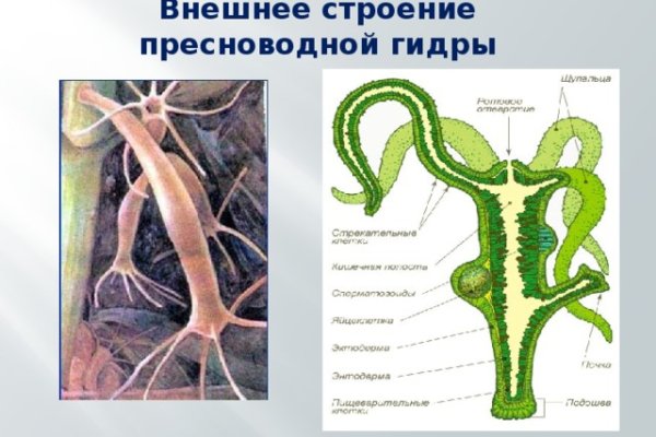 Кракен krakens13 at