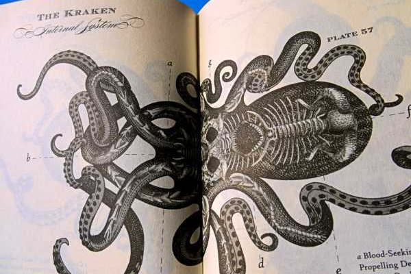 Кракен даркнет ссылка