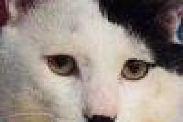 Купить наркотики онлайн