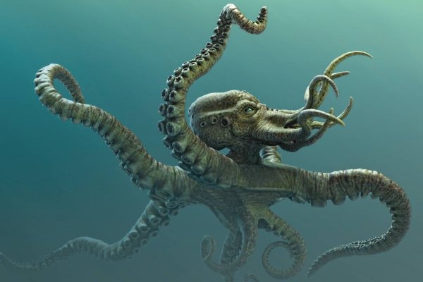Kraken официальный сайт ссылка krk store com
