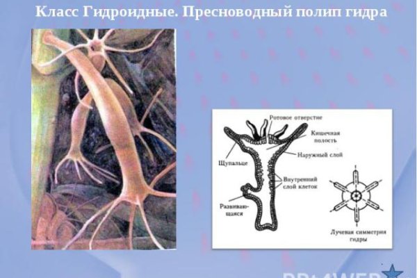 Актуальная ссылка на кракен kraken