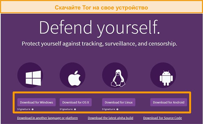 Что такое кракен в интернете
